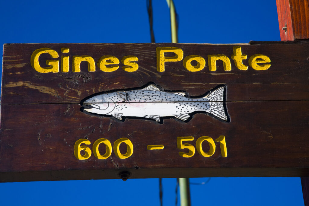 Argentina, The Lake District, Junín De Los Andes. Street sign with trout fish against a blue sky in Junín De Los Andes.