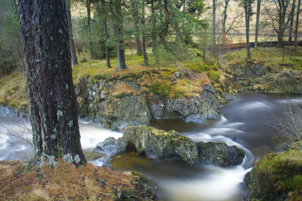 Scotland, Scottish Borders, Ettrick Water. A rocky stretch of the Ettrick Water, surrounded by a pocket of woodland.