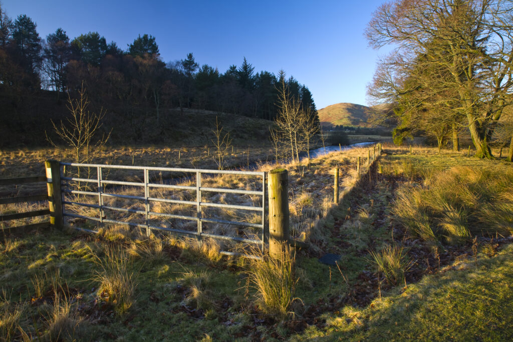 Scotland, Scottish Borders. Typical borders scene of farmland, plantation and rolling upland hills near the Ettrick Valley.