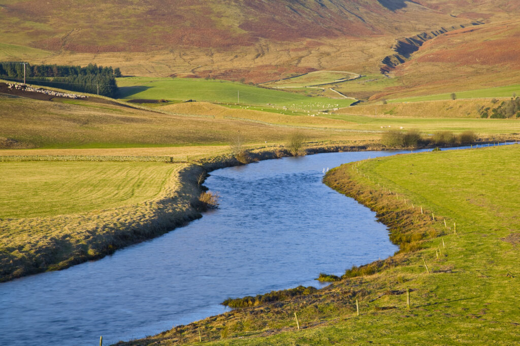 Scotland, Scottish Borders, Ettrick Valley. The gentle curve of Ettrick water through farmland in the Ettrick Valley.