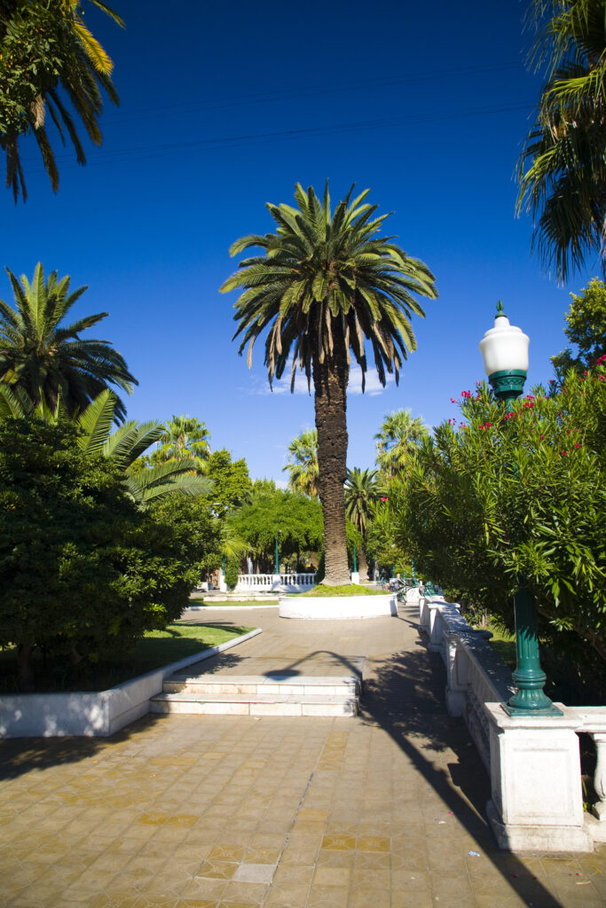 Argentina, Mendoza Province, Mendoza City. Plaza Pellegrini in Mendoza City.