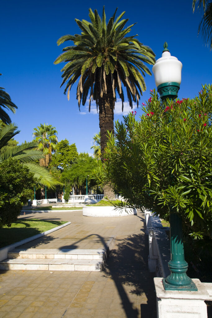 Argentina, Mendoza Province, Mendoza City. Plaza Pellegrini in Mendoza City.