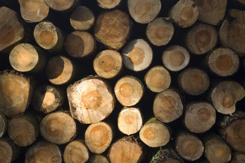 Scotland, Scottish Borders. The felling of trees is a common sight in the borders region. The wild, open terrain of the region provides a number of suitable locations for the planting of forest plantations.