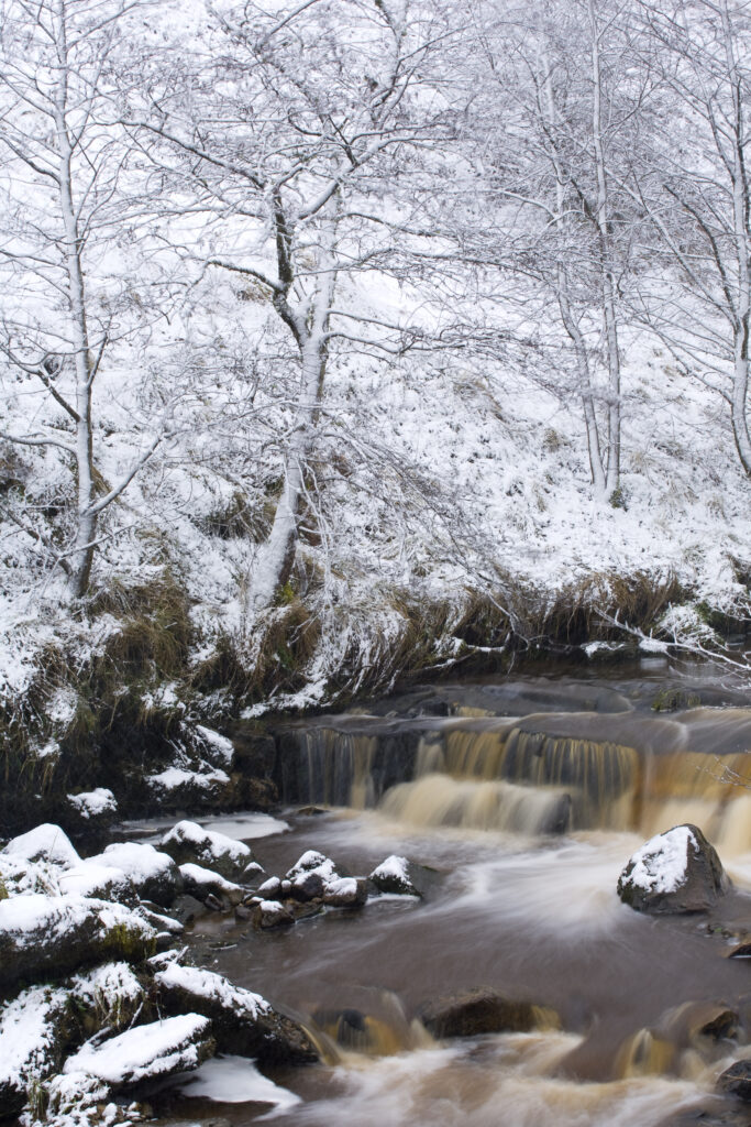 Scotland, Scottish Borders, Liddesdale. A fresh snowfall transforms the humble Whitrope Burn.