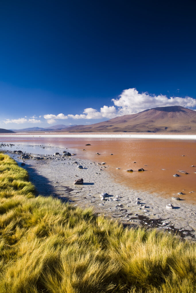 Bolivia, Southern Altiplano, Laguna Colorada. The dramatic other world landscape of the Laguna Coloroda otherwise know as the coloured lake.