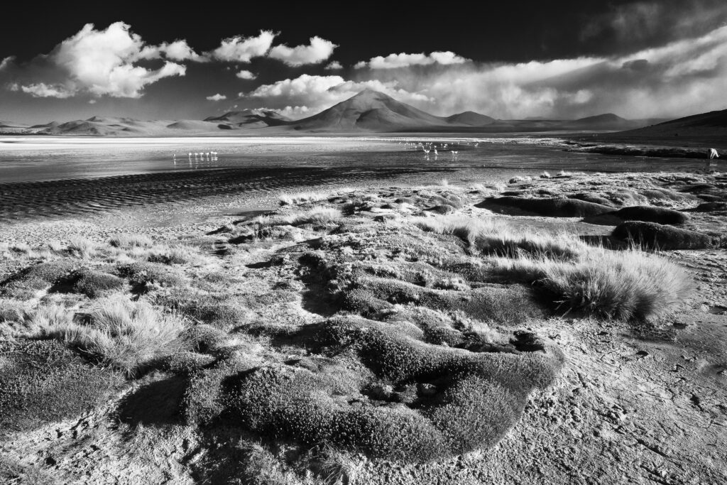 Bolivia, Southern Altiplano, Laguna Colorada. The dramatic other world landscape of the Laguna Coloroda otherwise know as the coloured lake.