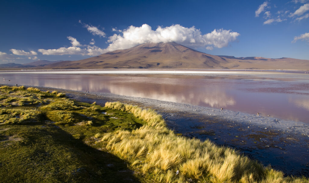 Bolivia, Southern Altiplano, Laguna Colorada. The dramatic other world landscape of the Laguna Coloroda otherwise know as the coloured lake.