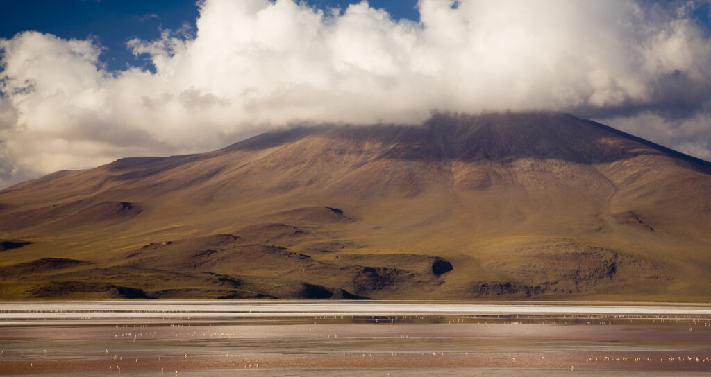 Bolivia, Southern Altiplano, Laguna Colorada. Flamingoes flock on the Laguna Coloroda otherwise know as the coloured lake.