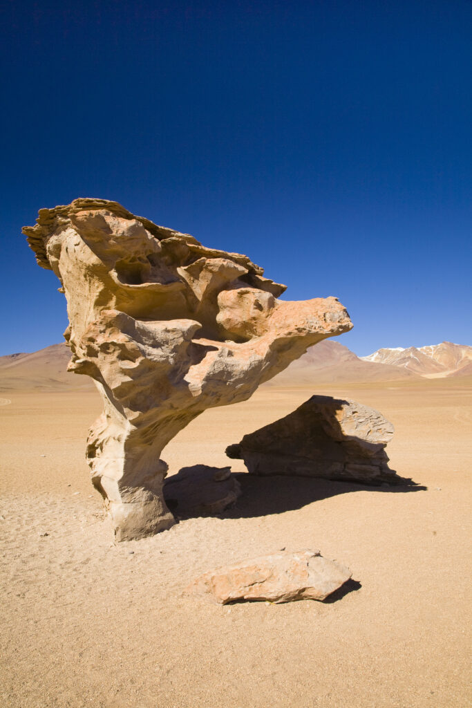 Bolivia, Southern Altiplano, Arbol de la Piedra. Mushroom shaped "Rock Tree" (Arbol de la Piedra) in the Bolivian Southern Altiplano plateau.