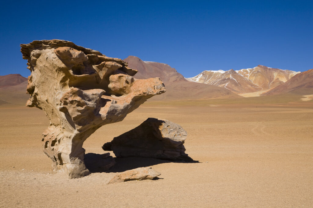Bolivia, Southern Altiplano, Arbol de la Piedra. Mushroom shaped "Rock Tree" (Arbol de la Piedra) in the Bolivian Southern Altiplano plateau.