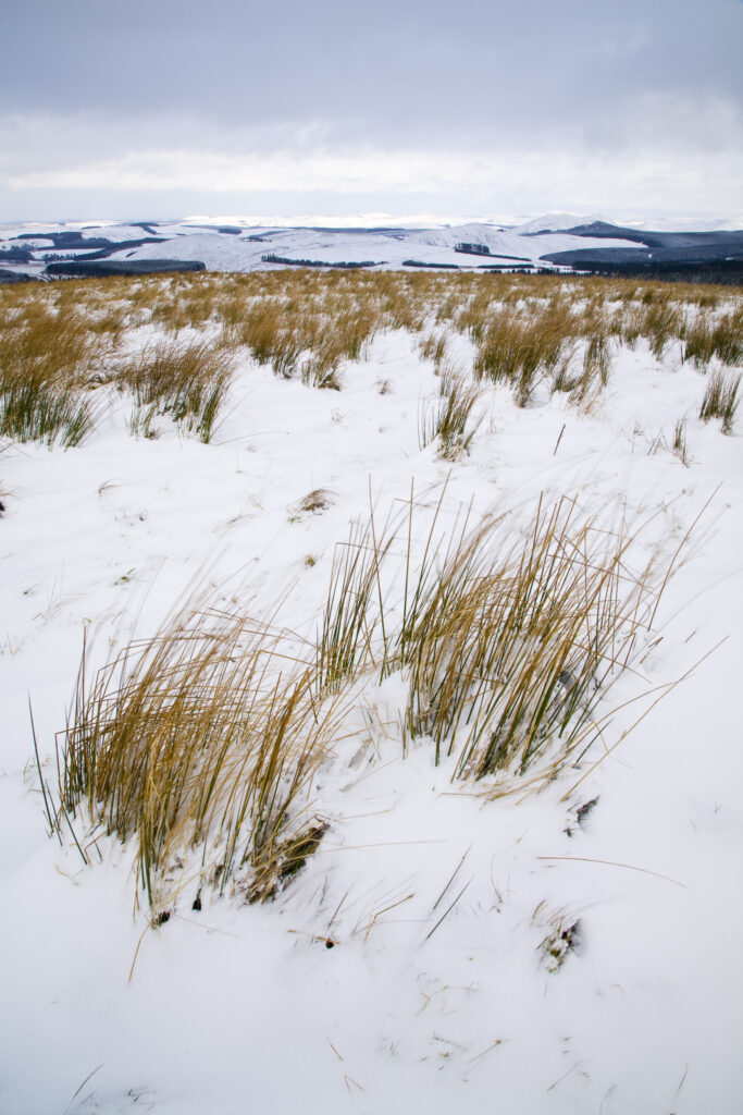 Scotland, Scottish Borders, Carter Bar. Snow on high land near Carter Bar on the English Border, looking towards the rolling hills of Scotland.