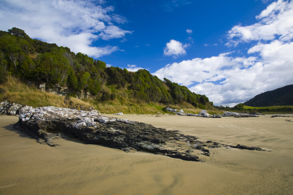 New Zealand, Otago, The Catlins. Sandy beach and wind sculptured native bush of Purakaunui Bay.