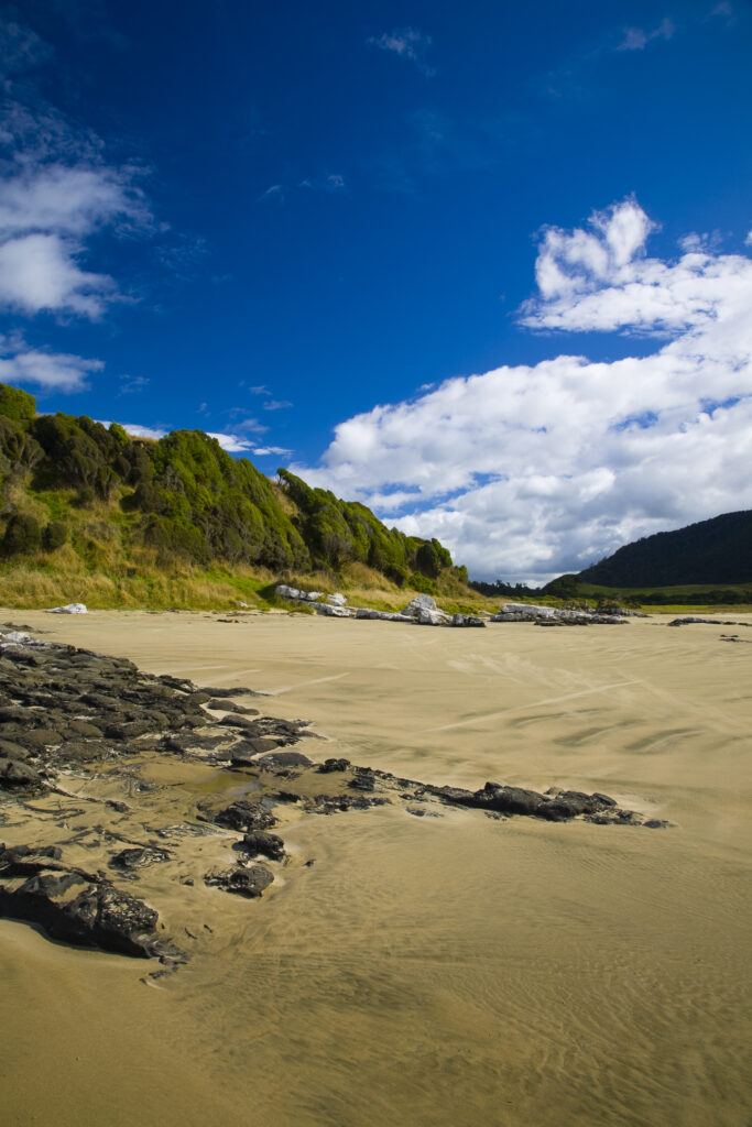 New Zealand, Otago, The Catlins. Sandy beach and wind sculptured native bush of Purakaunui Bay.