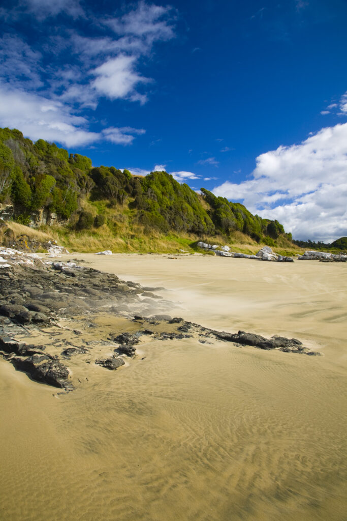 New Zealand, Otago, The Catlins. Sandy beach and wind sculptured native bush of Purakaunui Bay.