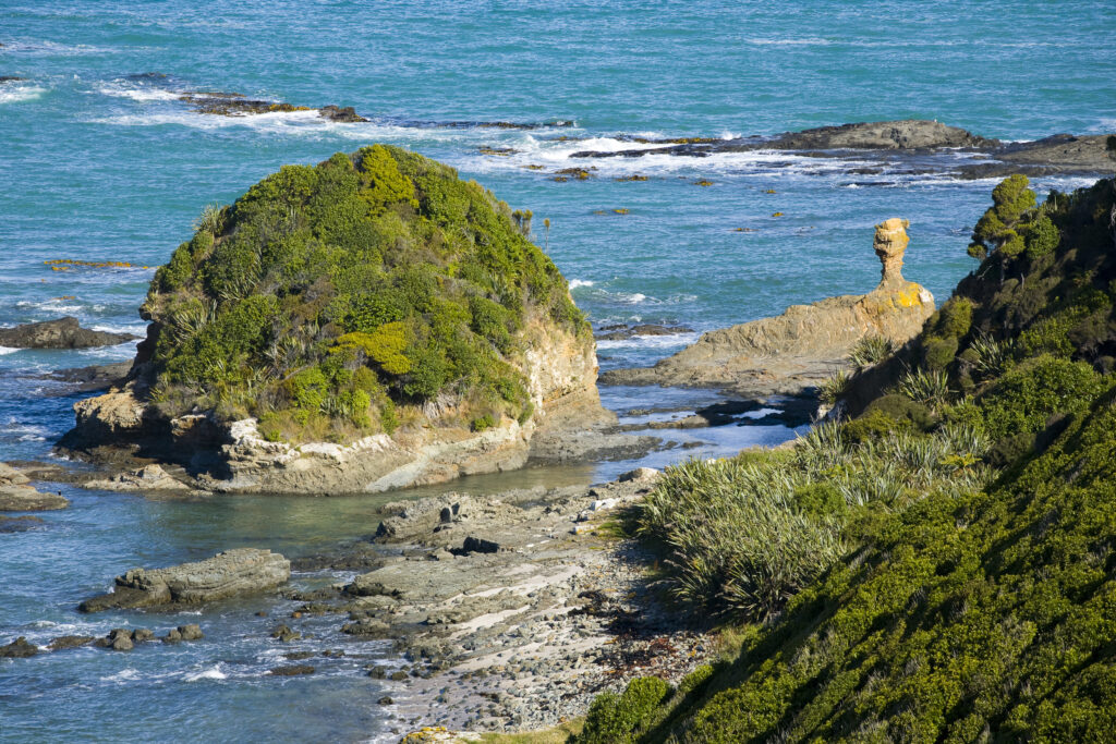 New Zealand, Southland, The Catlins. Lush vegetation meets the rocky coastline of the Catlins Forest Park near the town of Papatowai.