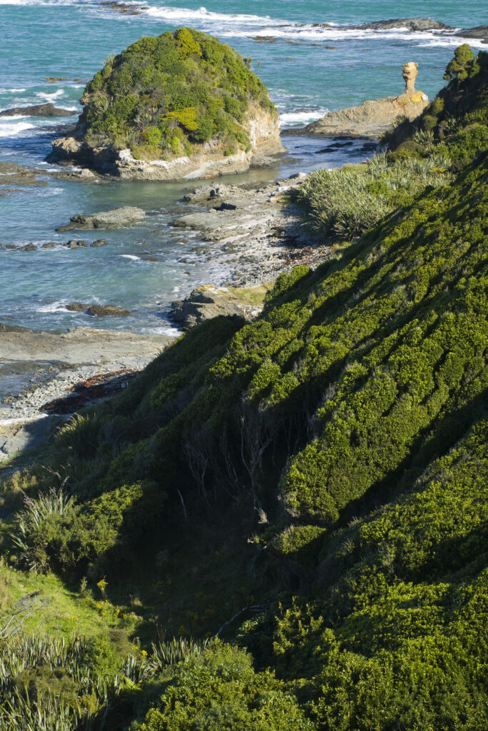 New Zealand, Southland, The Catlins. Lush vegetation meets the rocky coastline of the Catlins Forest Park near the town of Papatowai.