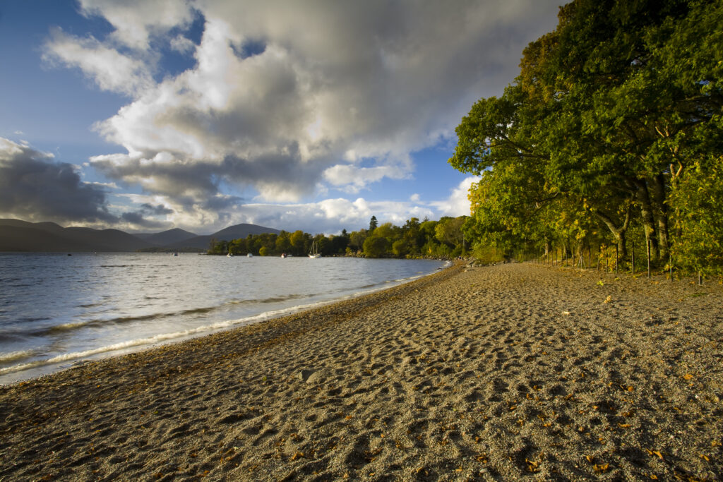 Scotland, Stirling, Loch Lomond and the Trossachs National Park. The autumnal colours of Oak woodlands fringing Loch Lomond at the bay of Milarrochy.