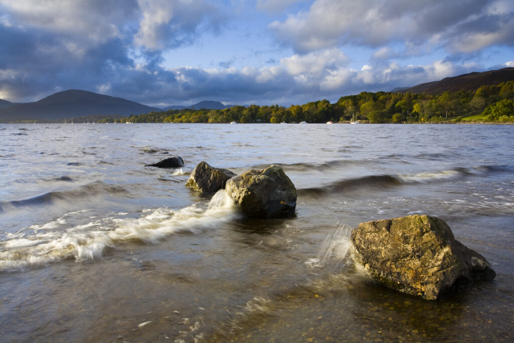 Scotland, Stirling, Loch Lomond and the Trossachs National Park. The autumnal colours of Oak woodlands fringing Loch Lomond at the bay of Milarrochy.