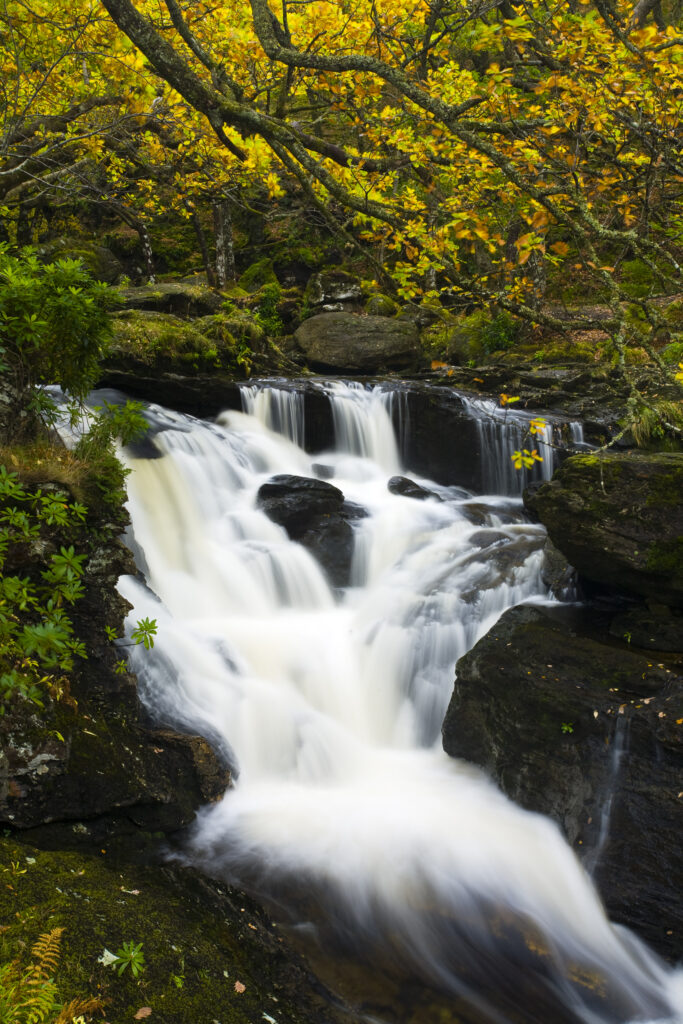 Scotland, Stirling, Loch Lomond and the Trossachs National Park. Arklet Falls and Sniad Burn near Inversnaid during Autumn.