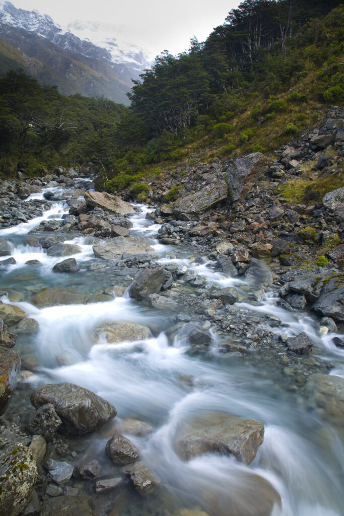 New Zealand, Canterbury, Arthur's Pass National Park. Bealey River flowing through the Bealey Valley.