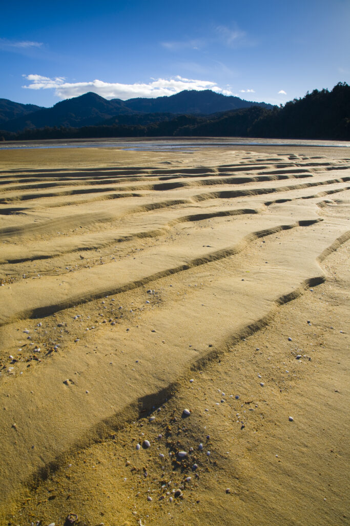 New Zealand, Nelson, Abel Tasman National Park. Riples in the sand at Awaroa Bay during low tide, on the coastal great walk.