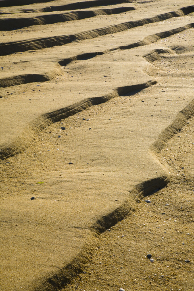 New Zealand, Nelson, Abel Tasman National Park. Riples in the sand at Awaroa Bay during low tide, on the coastal great walk.