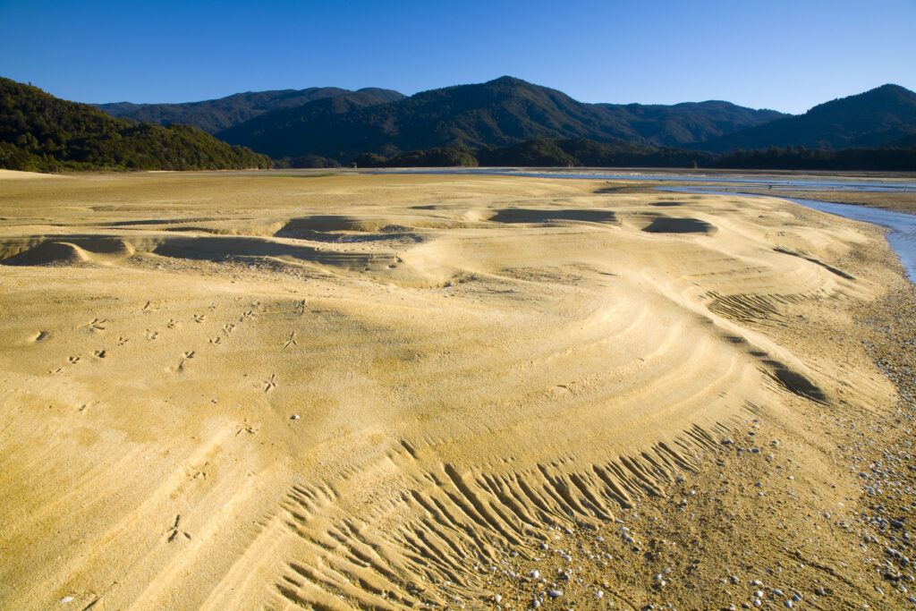 New Zealand, Nelson, Abel Tasman National Park. Riples in the sand at Awaroa Bay during low tide, on the coastal great walk.