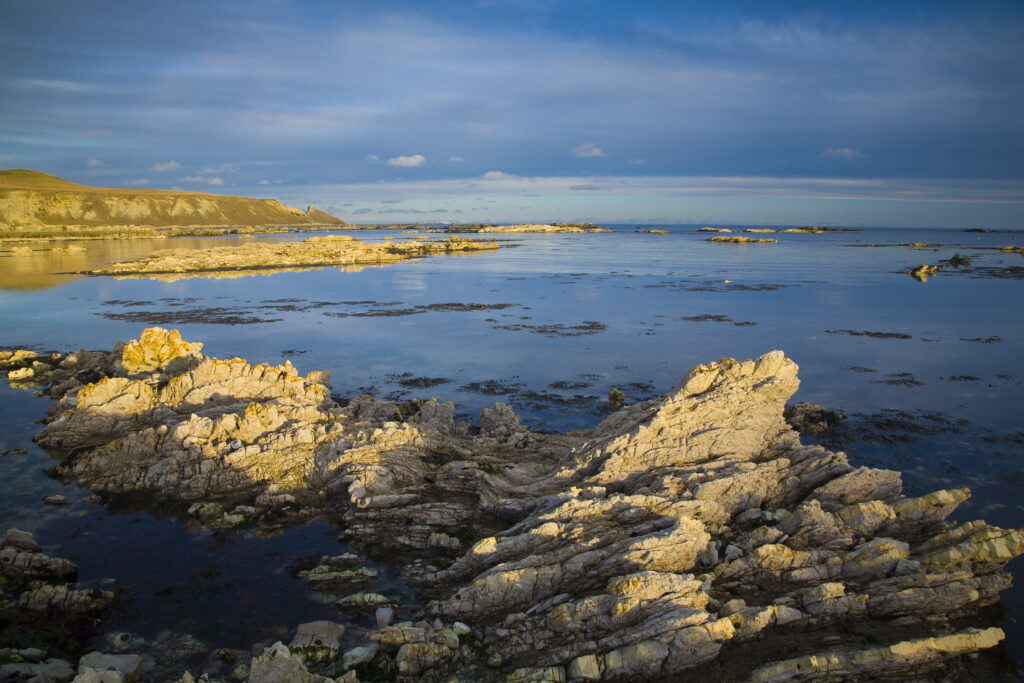 New Zealand, Marlborough, Kaikoura. Coastal limestone outcrops on the Kaikoura Pennisula near the town of Kaikoura.