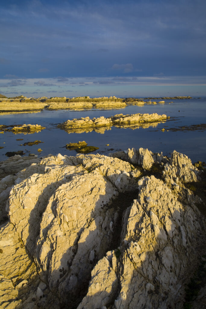 New Zealand, Marlborough, Kaikoura. Coastal limestone outcrops on the Kaikoura Pennisula near the town of Kaikoura.