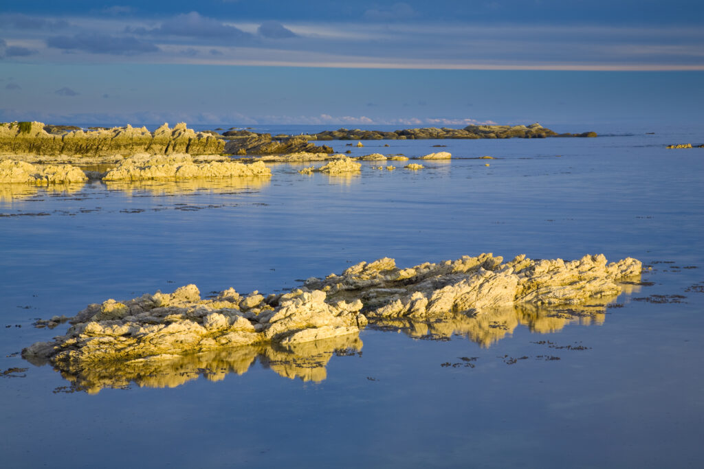 New Zealand, Marlborough, Kaikoura. Coastal limestone outcrops on the Kaikoura Pennisula near the town of Kaikoura.