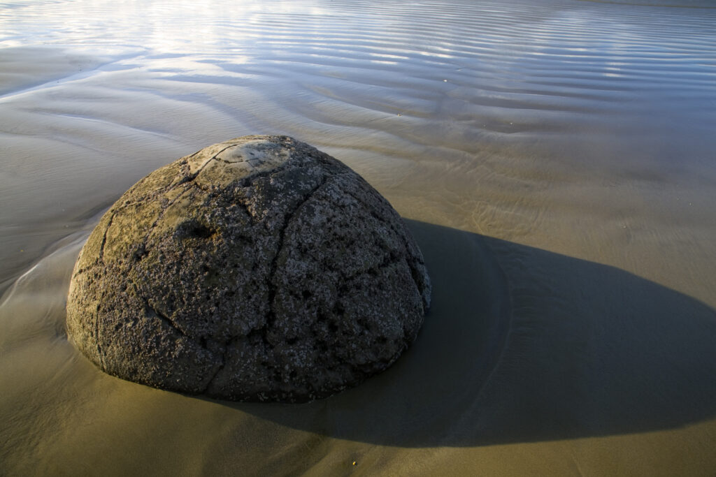 New Zealand, Otago, Moeraki Boulders. One of the famous spherical Moeraki boulders on the North Otago coast.