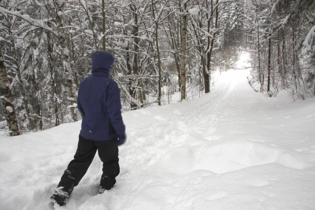 Norway, Oslo, Oslo City. Female hiker walking along forest path, in snow covered woodland in Oslo Forest near Bogstad Camping.