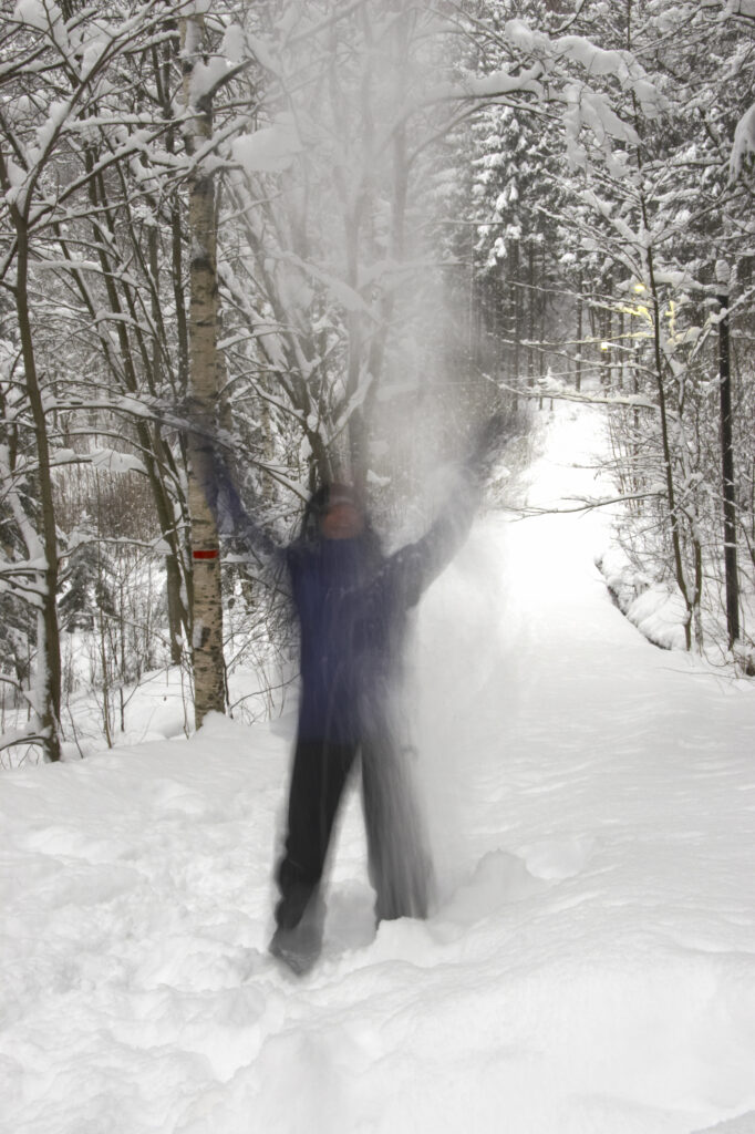 Norway, Oslo, Oslo City. Hiker throwing snow in the air, in snow covered woodland in Oslo Forest near Bogstad Camping.