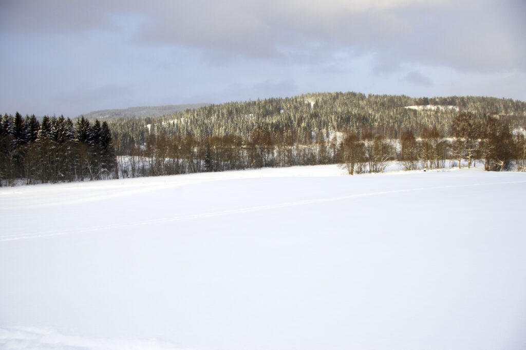 Norway, Oslo, Oslo City. A heavy snowfall transforms the woodland and hills near the Tryvann Ski field.
