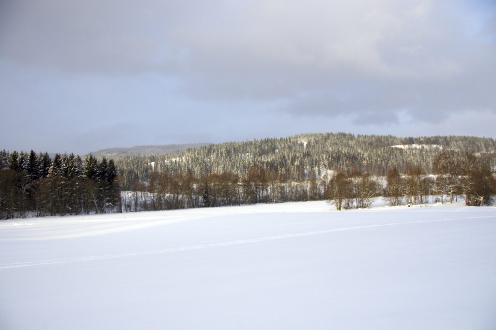 Norway, Oslo, Oslo City. A heavy snowfall transforms the woodland and hills near the Tryvann Ski field.