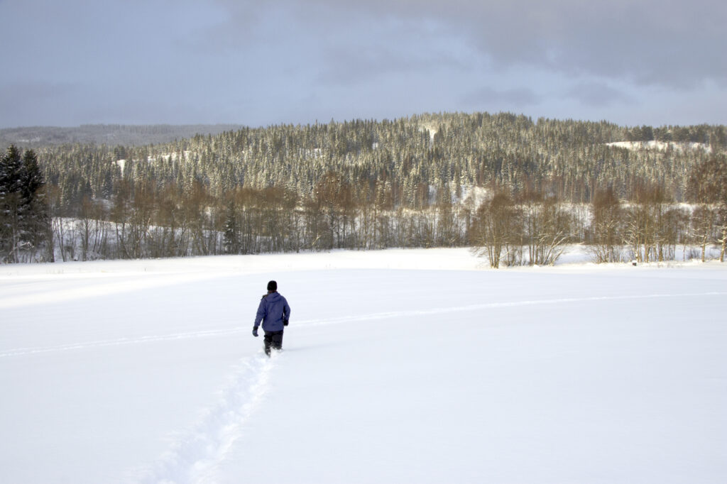 Norway, Oslo, Oslo City. A girl hiker ploughs through a heavy snowfall towards woodland near the Tryvann Ski field.