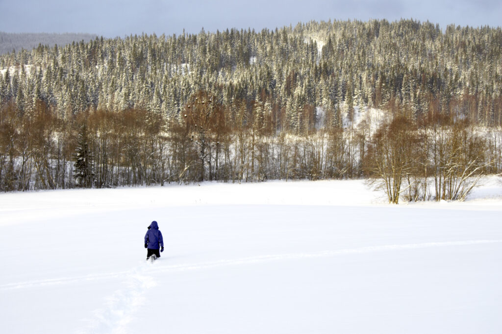 Norway, Oslo, Oslo City. A girl hiker ploughs through a heavy snowfall towards woodland near the Tryvann Ski field.