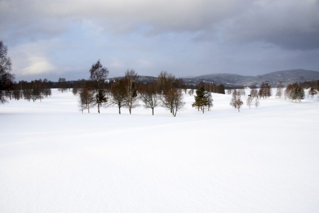 Norway, Oslo, Oslo City. A winter scene of forest and snow after a heavy snowfall nr Bogstad camping and the Tryvann Ski field