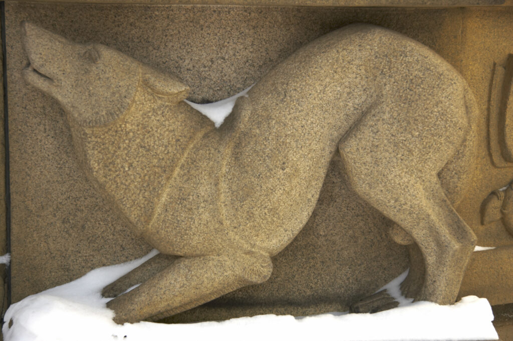 Norway, Oslo, Oslo City. Wolf scultpured in stone outside Oslo City Hall.