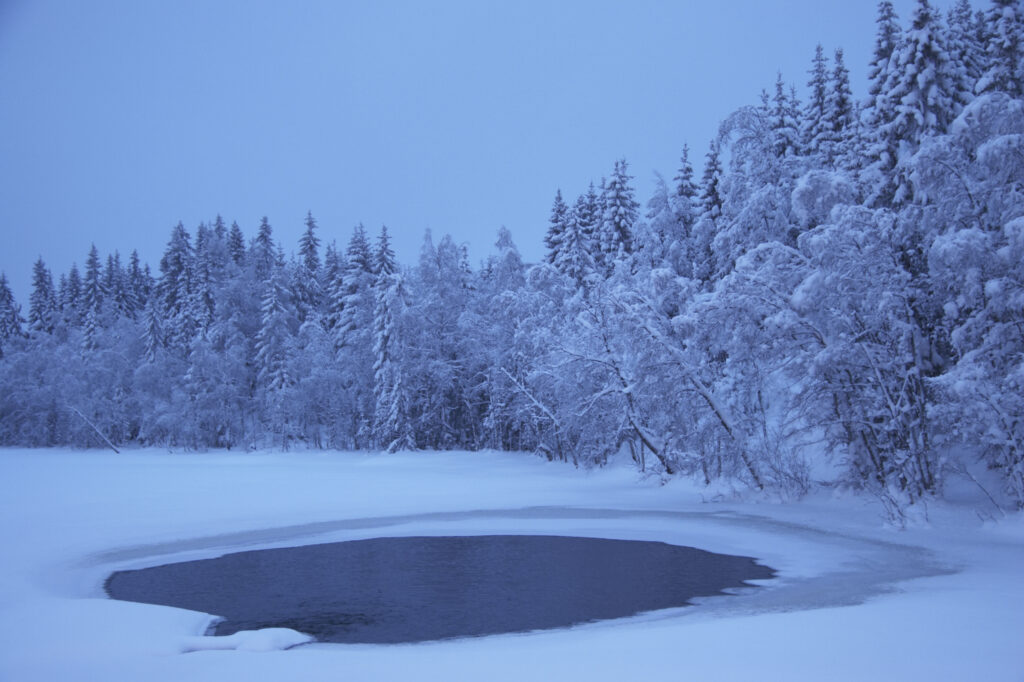 Norway, Oslo, Holmenkollen. Snow covered forest and ice covered lake at dusk, in the Tryvann Skifield in the Holmenkollen area.