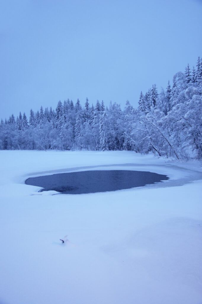 Norway, Oslo, Holmenkollen. Snow covered forest and ice covered lake at dusk, in the Tryvann Skifield in the Holmenkollen area.
