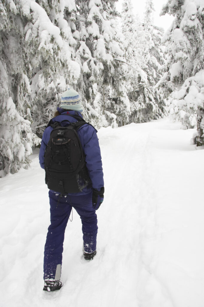 Norway, Oslo, Holmenkollen. Female hiker walking through snow covered forest in the Holmenkollen area near to Tryvann Ski-field