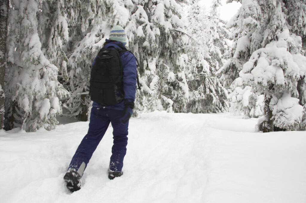 Norway, Oslo, Holmenkollen. Female hiker walking through snow covered forest in the Holmenkollen area near to Tryvann Ski-field