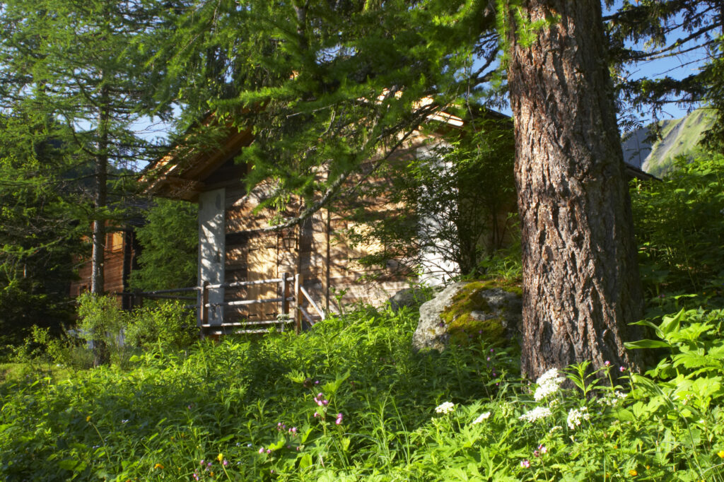 Switzerland Valais Val Ferret. A wood cabin hid amongst a wild flower meadow and woodland near the village of La Fouly