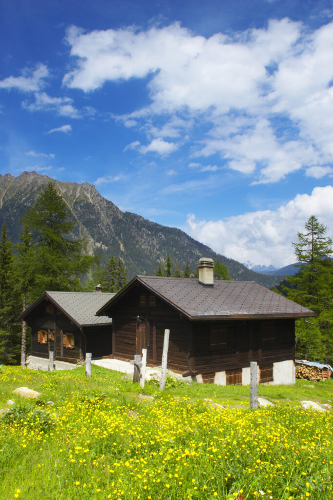 Switzerland Valais Val d Arpette Log cabins in a wild flower meadow in the Val d arpette
