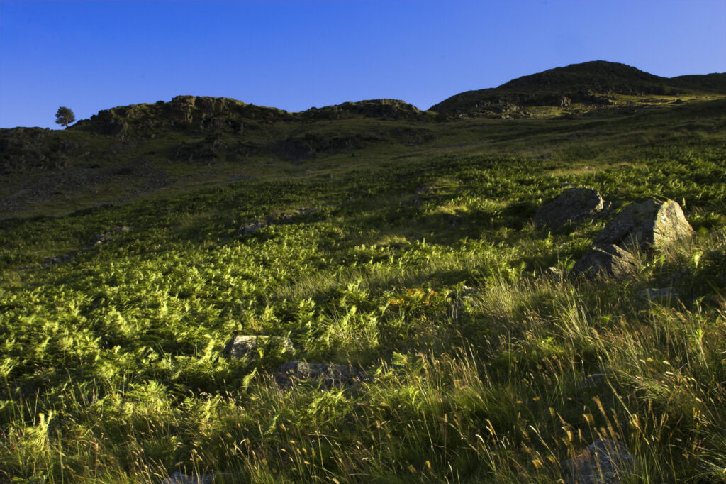 England Cumbria Lake District National Park Boulders and moorland typical of the wild landscape of Glenridding