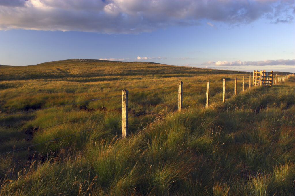 England, Cumbria, Hartside. A wire fence running across moor land at the summit of Hartside Pass near Alston
