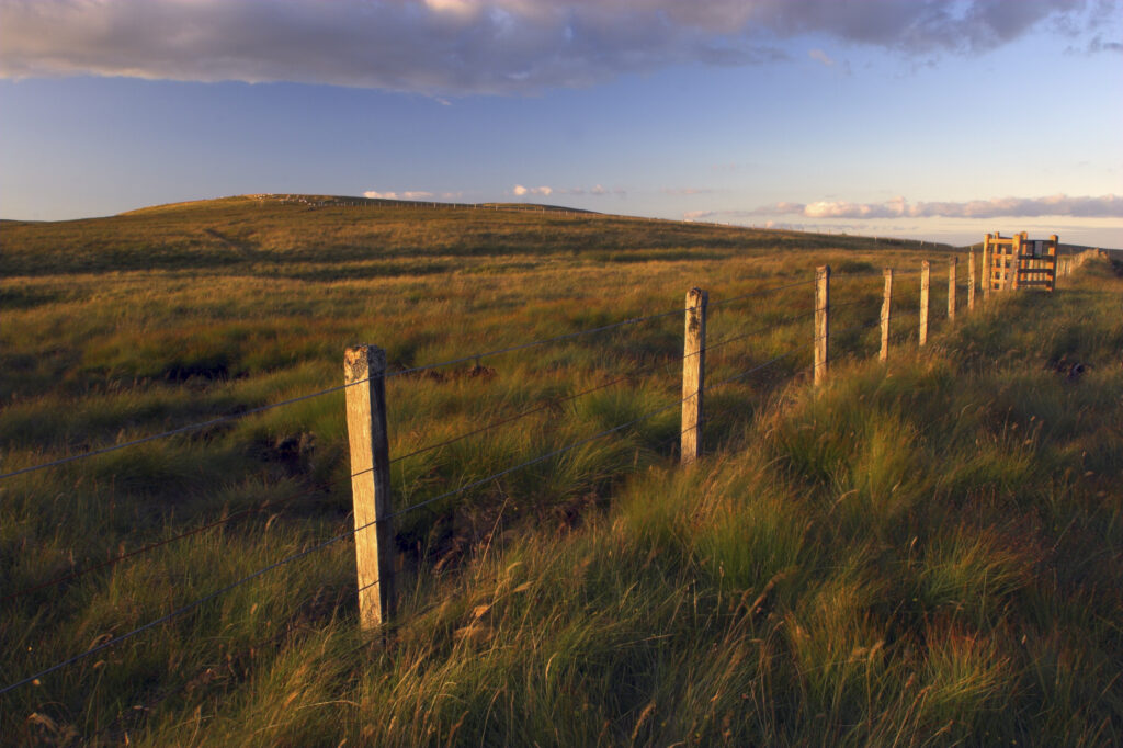 England, Cumbria, Hartside. A wire fence running across moor land at the summit of Hartside Pass near Alston