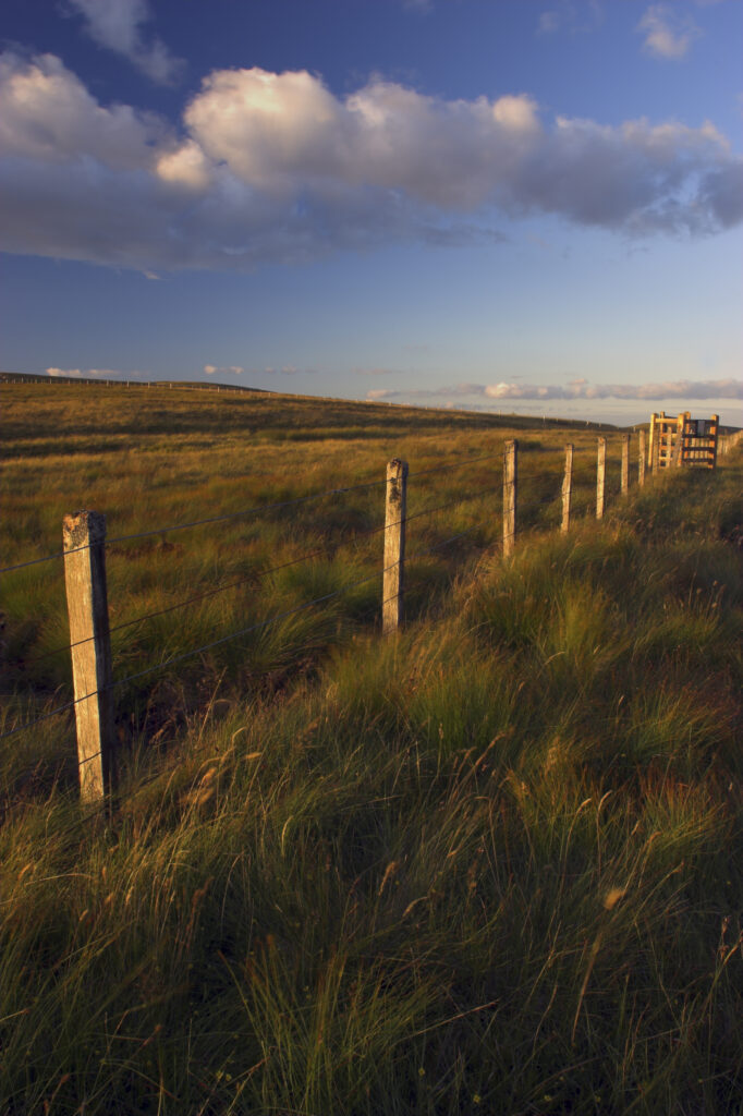 England, Cumbria, Hartside. A wire fence running across moor land at the summit of Hartside Pass near Alston