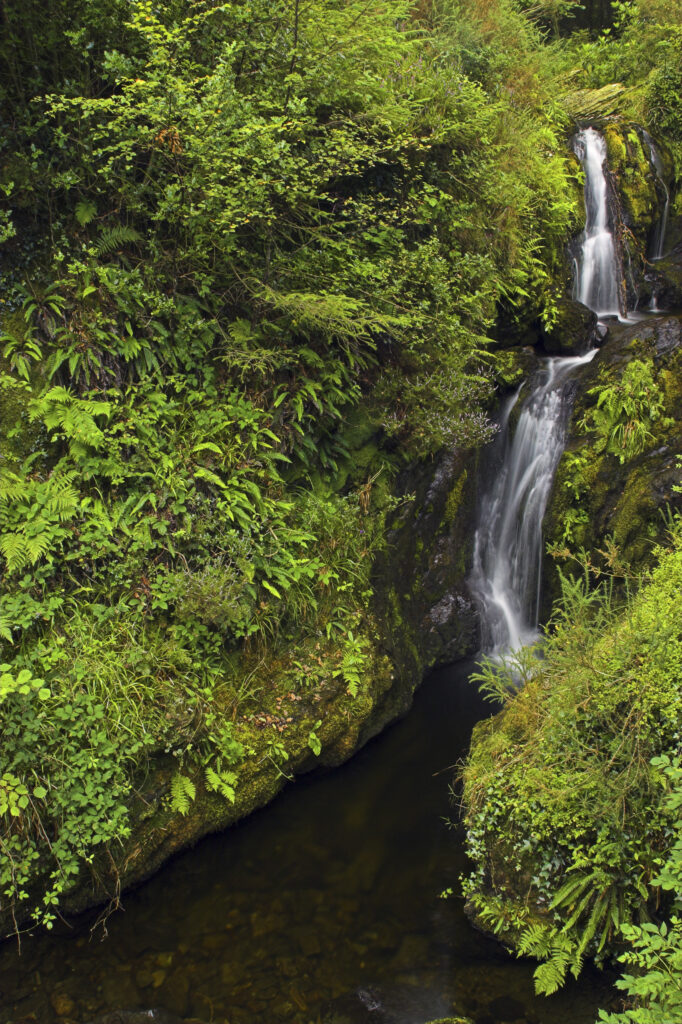 Northern Ireland County Down Tollymore Forest Park Maria s falls near marias bridge in Tollymore Forest Park